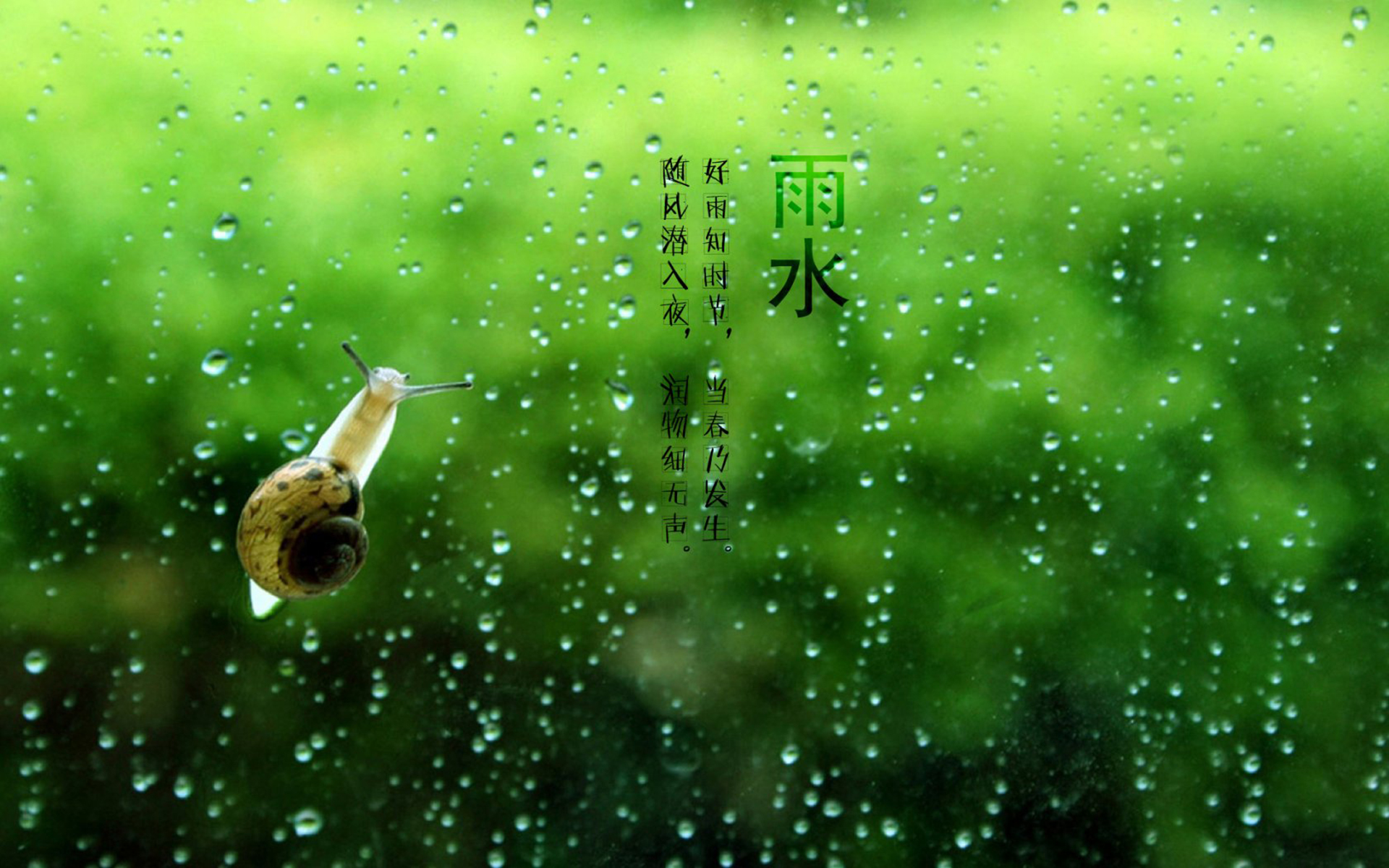 雨水收集03