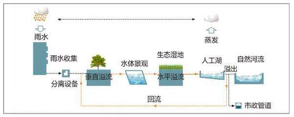 雨水收集